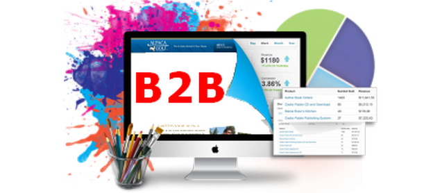 B2b Sistemleri
